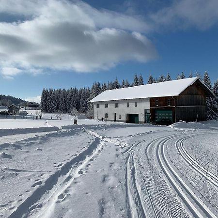 Schoeneben Apartment Zollhaus Schoneben  Zewnętrze zdjęcie